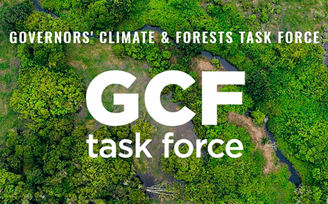 Banner da GCF Task Force
