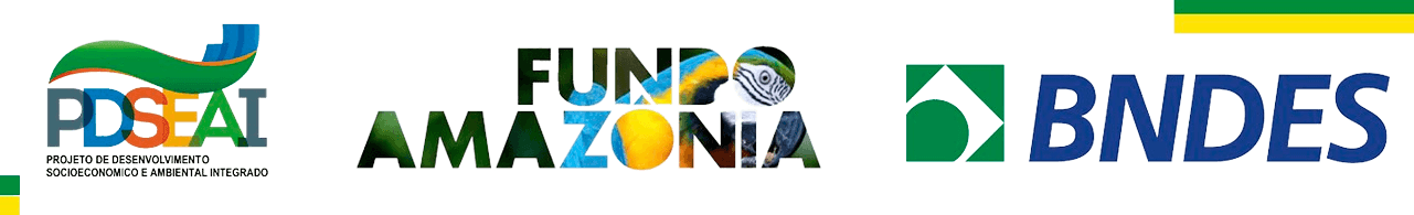PDSEAI - Fundo amazônia - BNDES