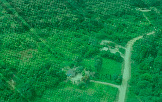 Banner da Redd+ Jacundá