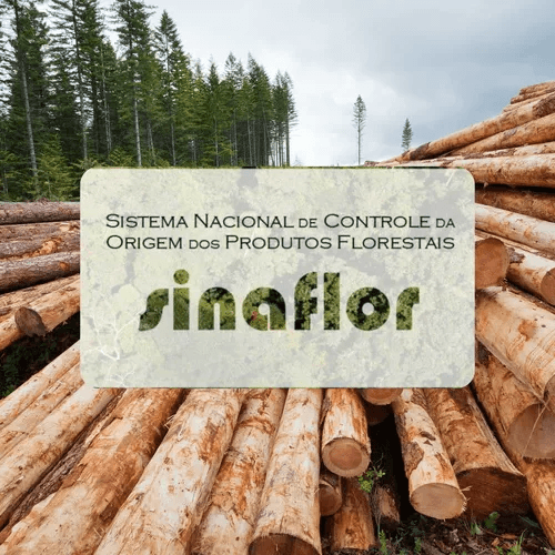 Sinaflor - Cidadão