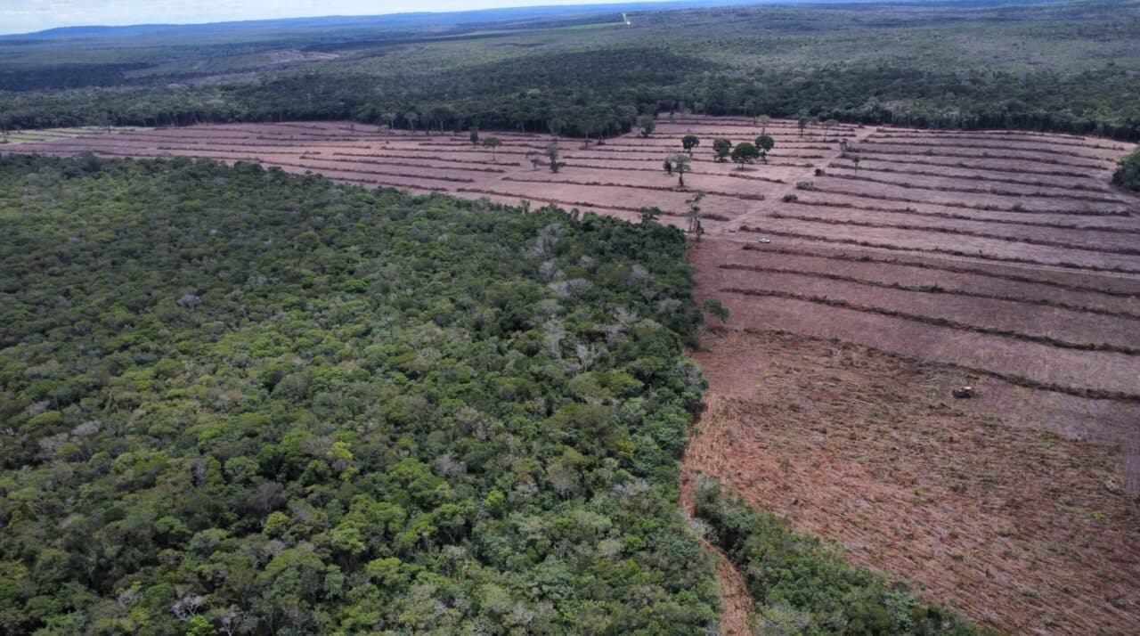 Imagem de Relatório da “Operação Hileia” destaca avanços no combate ao desmatamento em Rondônia